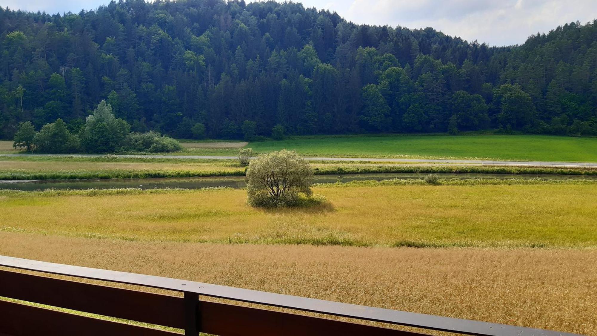 Waldpension Rabeneck ヴァイシェンフェルト エクステリア 写真