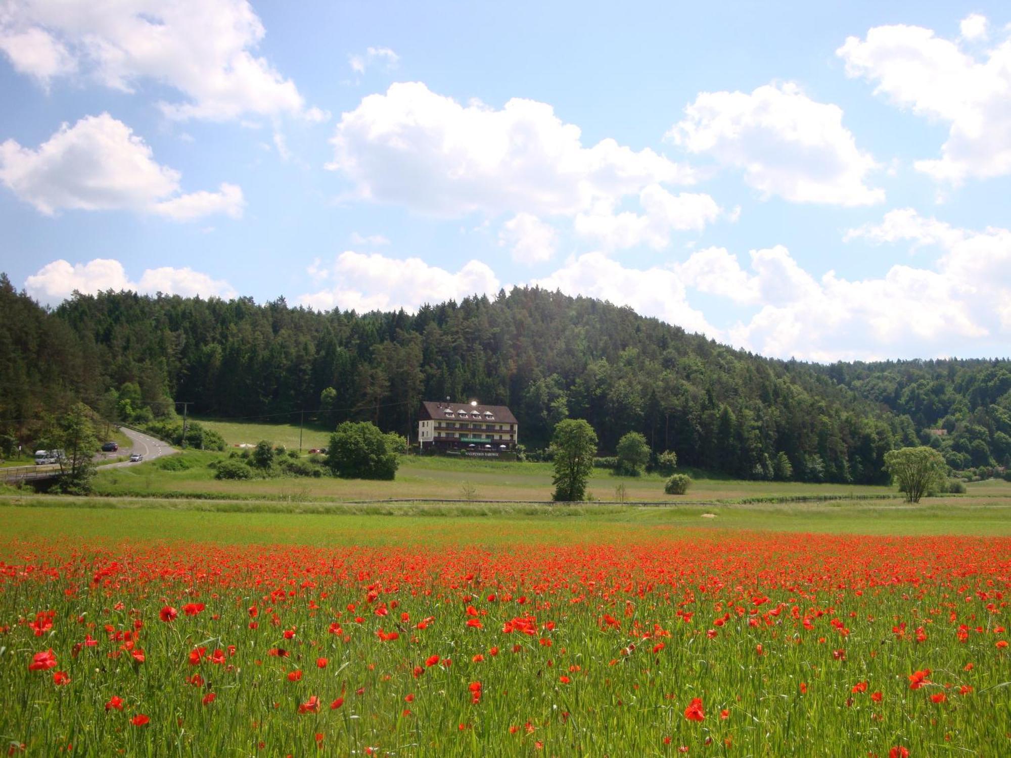 Waldpension Rabeneck ヴァイシェンフェルト エクステリア 写真