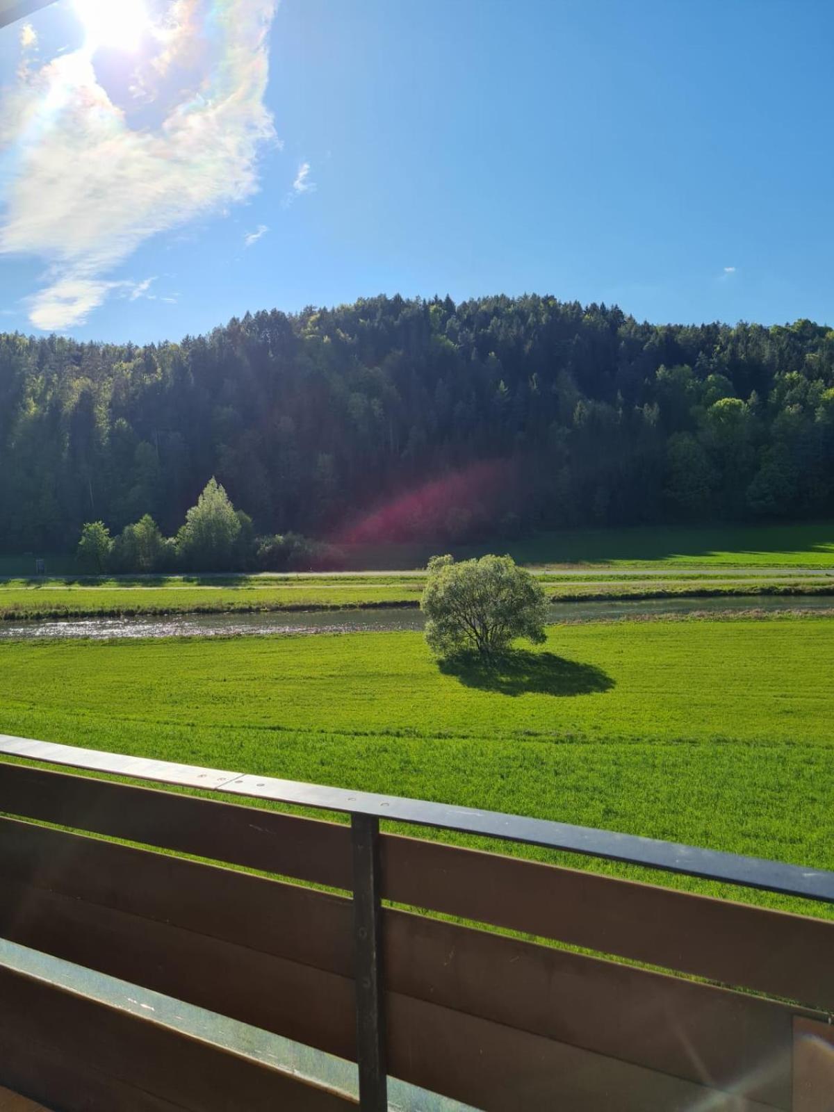Waldpension Rabeneck ヴァイシェンフェルト エクステリア 写真
