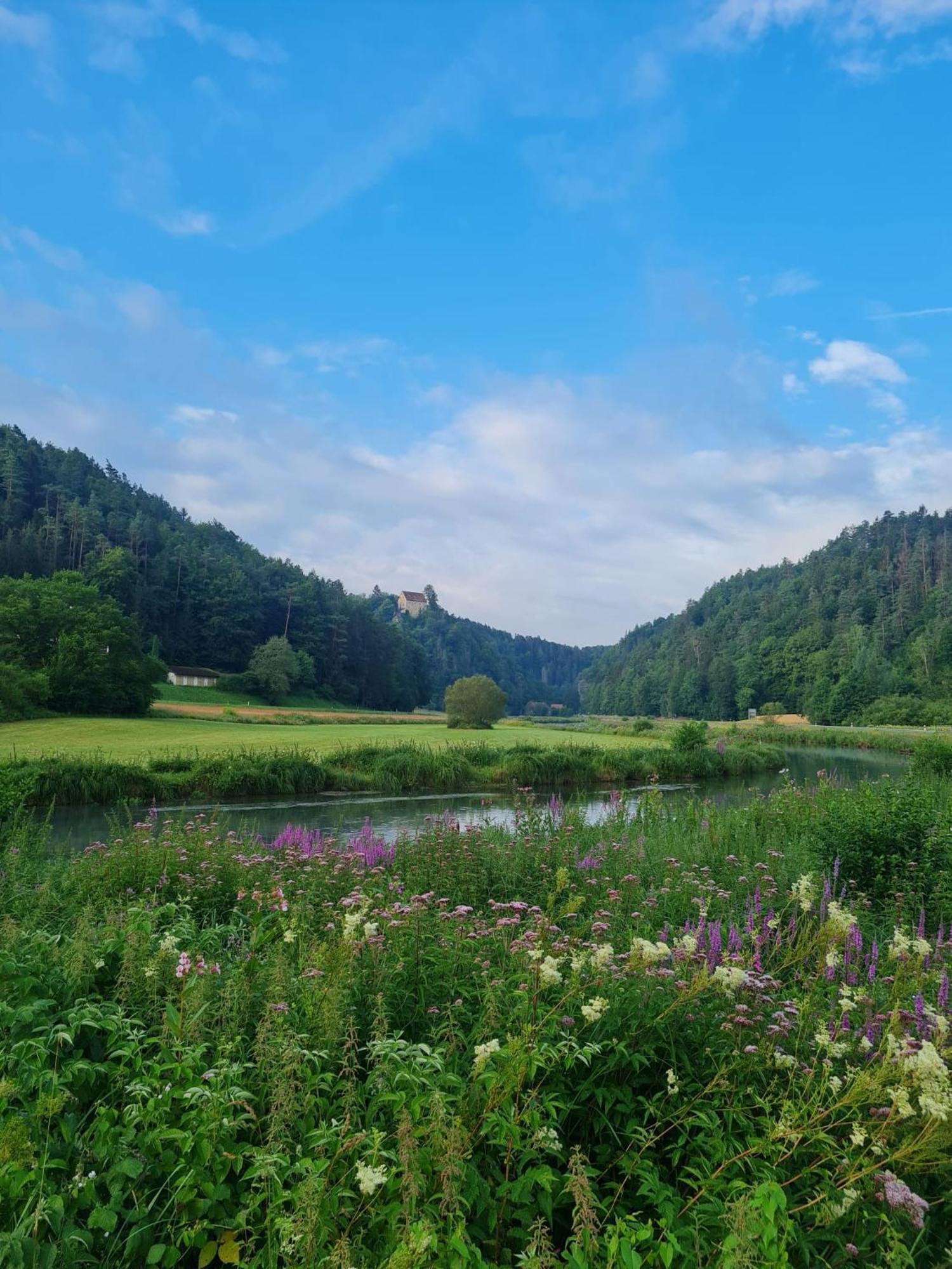 Waldpension Rabeneck ヴァイシェンフェルト エクステリア 写真
